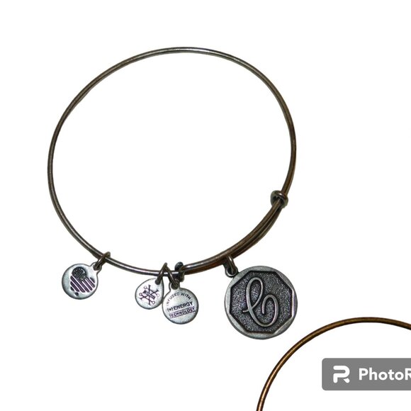 Alex And Ani Bangle Bracelets Initial C, Garnet Birthstone, It Is What It Is - Picture 3 of 9